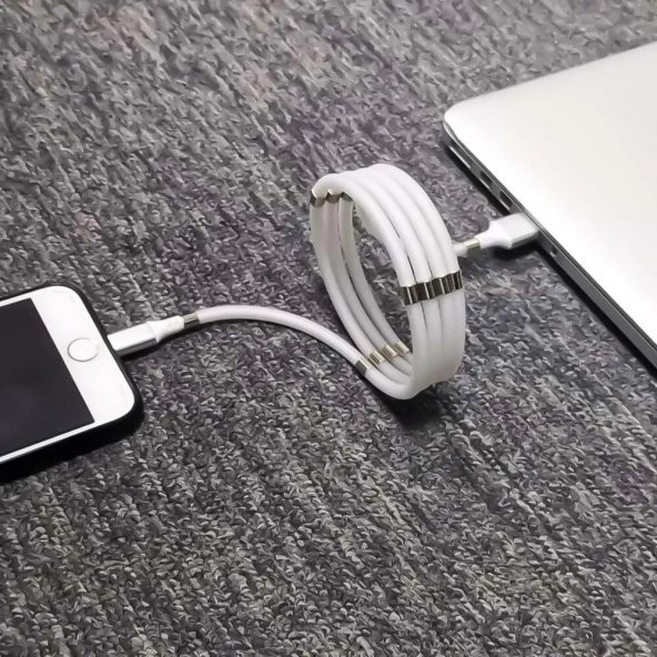 FitPlus Type-C Hızlı Şarj Özellikli Mıknatıslı Data/Şarj Kablosu FP1001 - 6