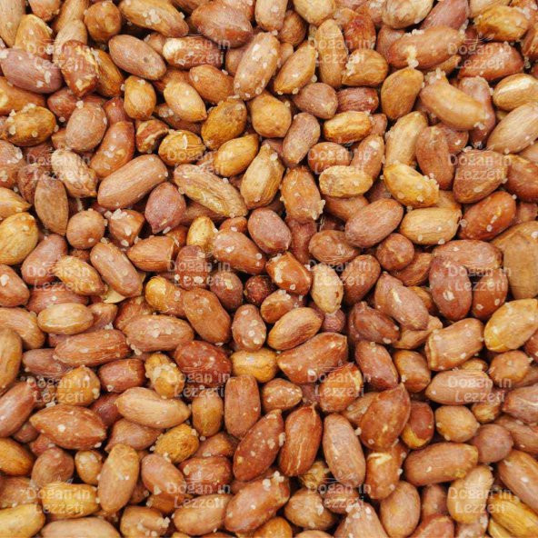 Yer Fıstığı Atom 1 KG - 8