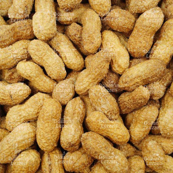 Kabuklu Tuzlu Yer Fıstığı 500 G - 8