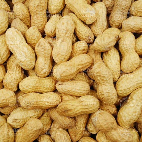 Kabuklu Çiğ Yer Fıstığı 1 KG - 8