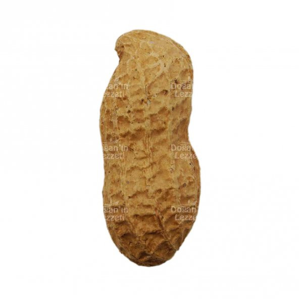 Kabuklu Yer Fıstığı 250 G - 2