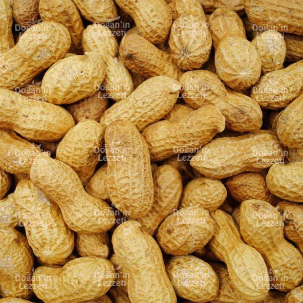 Kabuklu Yer Fıstığı 1 KG - 8