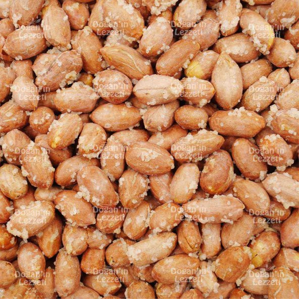 Tuzlu Yer Fıstığı 1 KG - 8