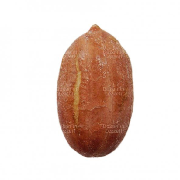 Yer Fıstığı 500 G - 2