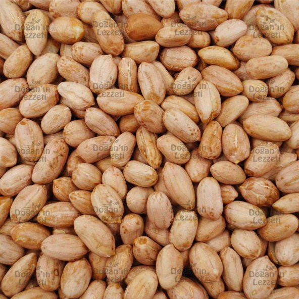 Çiğ Yer Fıstığı 500 G - 8