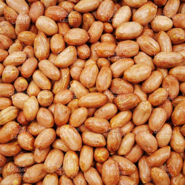 Yer Fıstığı 500 G - 8