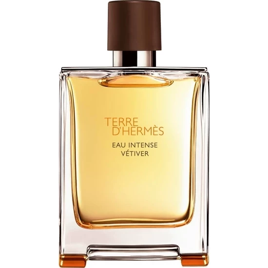 Hermes Terre D Hermes Eau Intense Vetiver EDP 100 ml Erkek Parfüm - 2