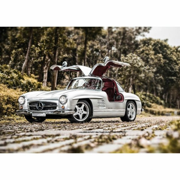 20548 300 SL Martı Kanadı 1000 Parça Puzzle -KS Puzzle - 5