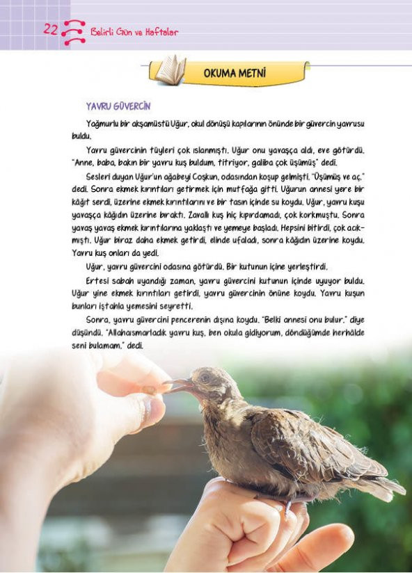 Koza Yayın Güncel Belirli Gün ve Haftalar - 8