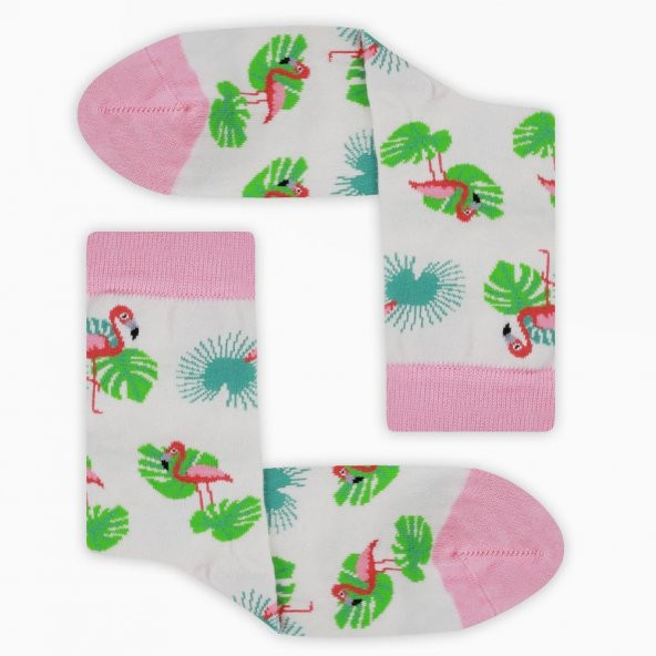 Colorcool Kadın Çorap Flamingo - 5
