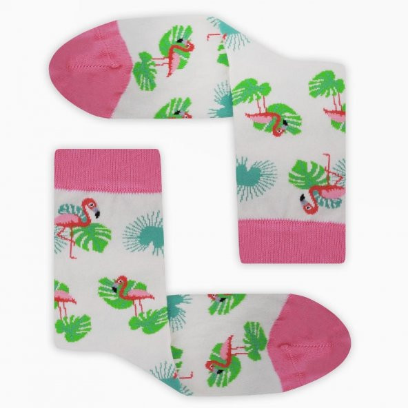Colorcool Kadın Çorap Flamingo - 7