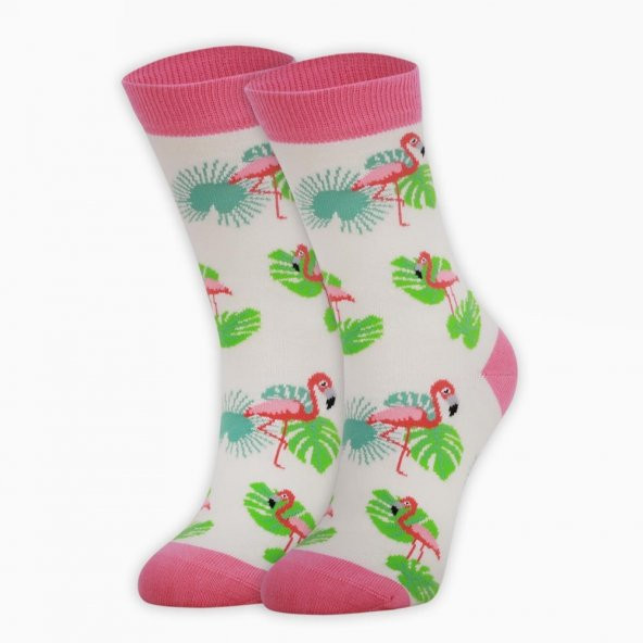 Colorcool Kadın Çorap Flamingo - 8