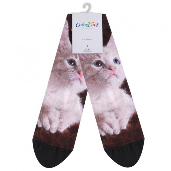 Colorcool Kadın Baskılı Kedili Çorap