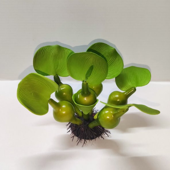 TLS Su Üstü Nülifer Yapay Akvaryum Bitkisi - Çiçeksiz