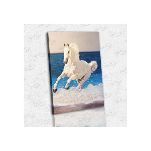 İyi Olsun Beyaz At ve Deniz Temalı Kanvas Tablo 50 x 70 cm