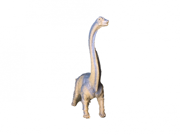 30 cm Büyük Boy Dinozor
