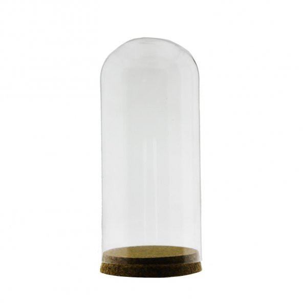 20x9cm Cam Tüp Fanus Terrarium Şişe