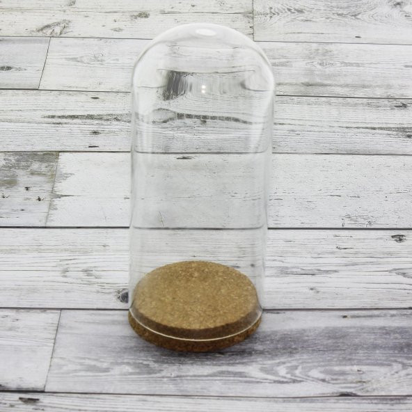 20x9cm Cam Tüp Fanus Terrarium Şişe - 2