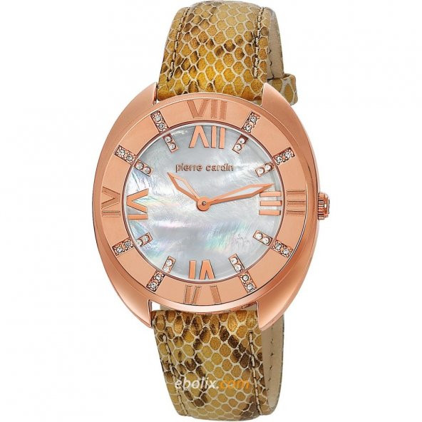 Pierre Cardin PC105272F04 Bayan Kol Saati ERSA Garantili ürün görseli