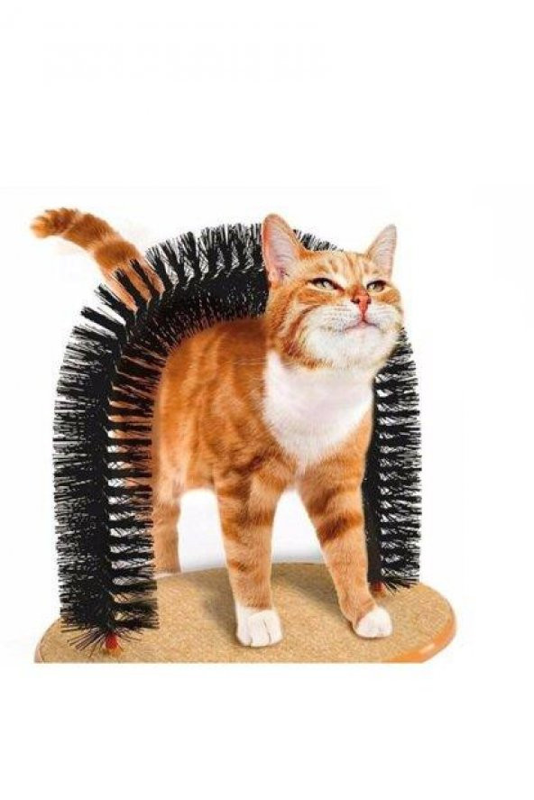 Kedi Tırmalama Kaşınma Kaşıma Tahtası - 2