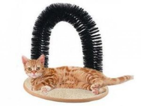Kedi Tırmalama Kaşınma Kaşıma Tahtası - 4