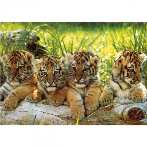 11325 Puzzle 200/MARK GOULDİNG FOUR PUZZLE 200 PARÇA - 6