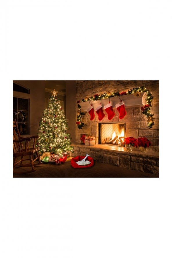 Teknor Soft Kedi & Köpek Yatağı 60X60X22- Bordo - 3