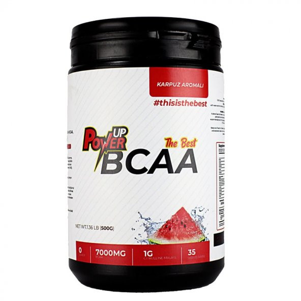 PowerUP Nutrition TheBest BCAA & Recovery+ 500 Gr + shaker