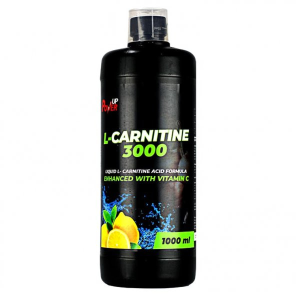 PowerUP Nutrition TheBest L-Carnitin 1000 mL