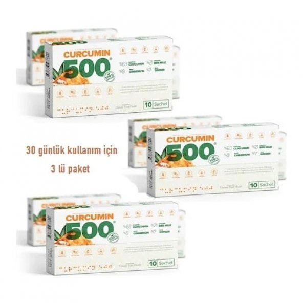 Patina Curcumin 500 Herbal Food Altın Yoğurt Kürü 3lü Paket