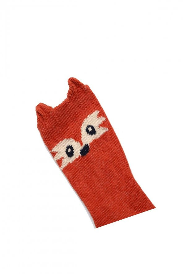 2li Bebek Asortili Tilki ve Tavşan Desenli Çocuk Çorap 161734-B2 - 4