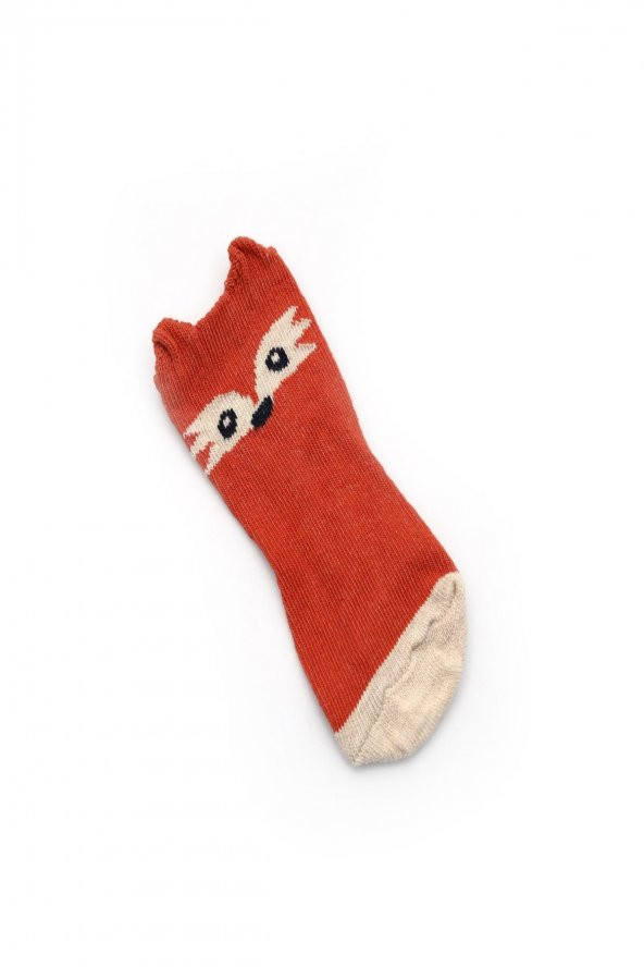 2li Bebek Asortili Tilki ve Tavşan Desenli Çocuk Çorap 161734-B2 - 5