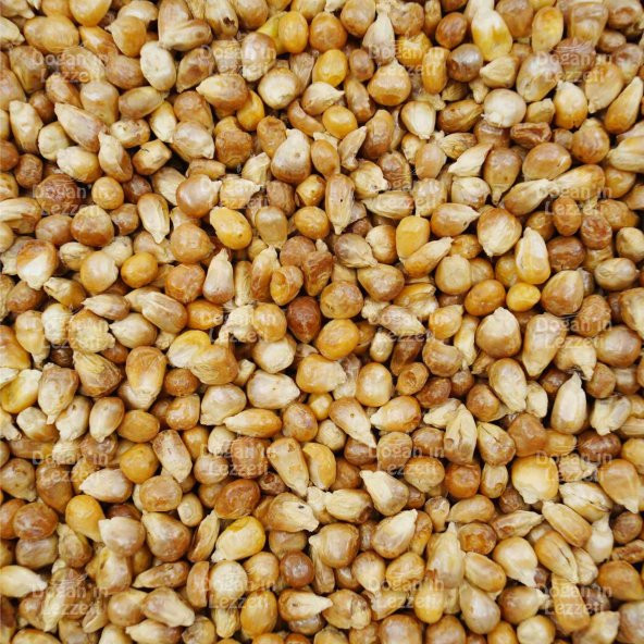 Kavurga Mısır 1 KG - 8