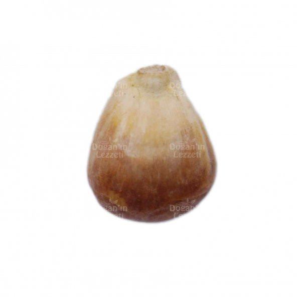 Kavurga Mısır 250 G - 2