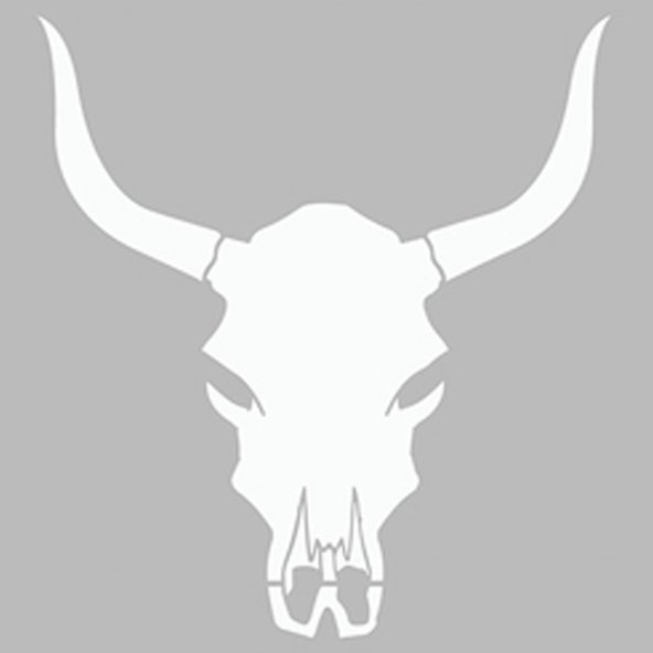 Hayvan Kafatası Stencil Boyama şablonu 30x30 cm, Duvar Stencil, Fayans Stencil, Mobilya Stencil ürün görseli 1