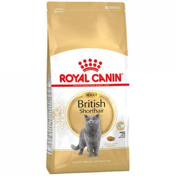 Royal Canin British Shorthair Kedi Maması 2 KG