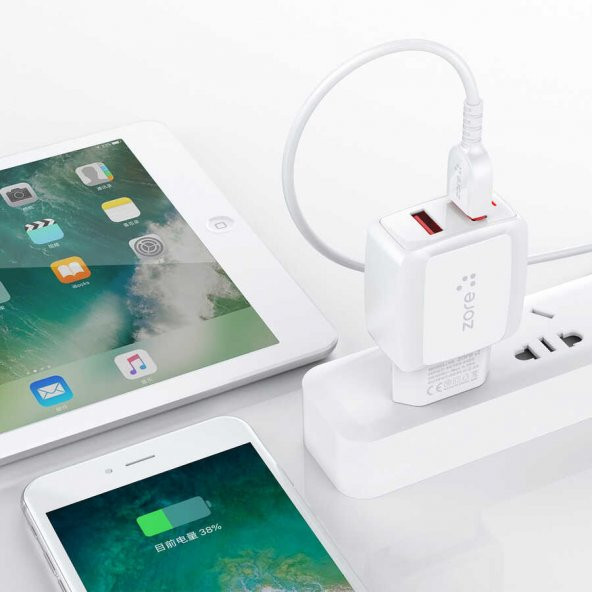 Reeder P12 Curve Zore Vest Micro 2 in 1 2.4A Hızlı Şarj Seti - 8