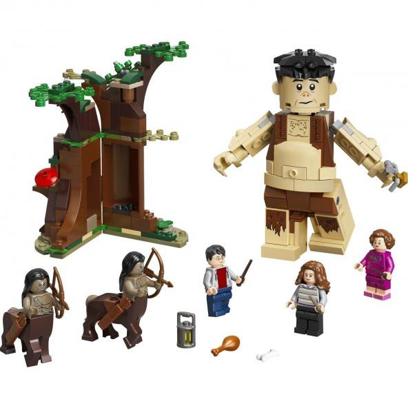 LEGO® Harry Potter™ Yasak Orman: Umbridge’in Karşılaşması 75967 Yapım Seti