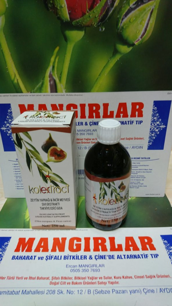 Zeytin Yaprağı Sıvı Extraktı 250 ml
