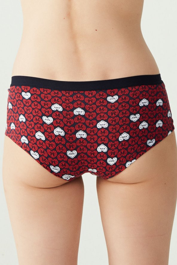 POLO 66102 3 Lü Şort - 5