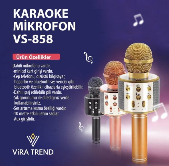 KARAOKE MIKROFON VS-858