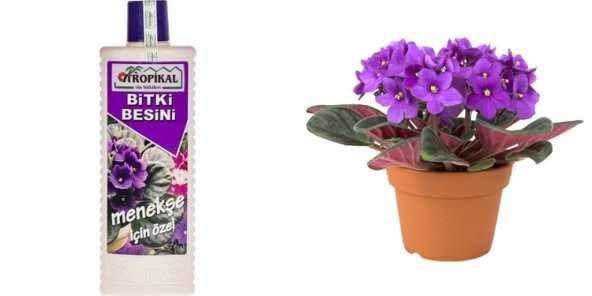 TROPİKAL BİTKİ BESİNİ - MENEKŞE İÇİN ÖZEL 1000 ML - 1