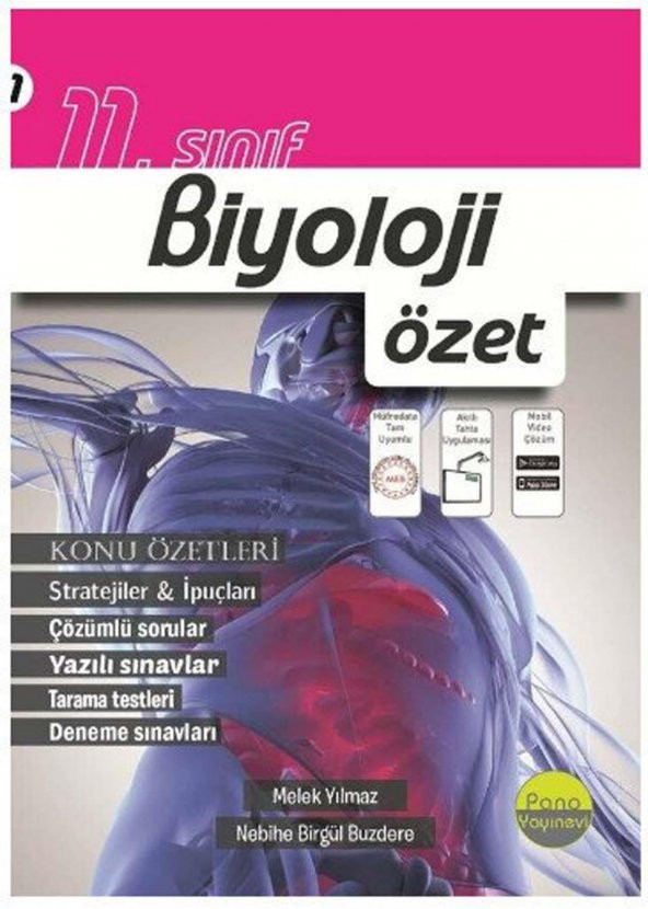 Pano 11.Sınıf Biyoloji Özet