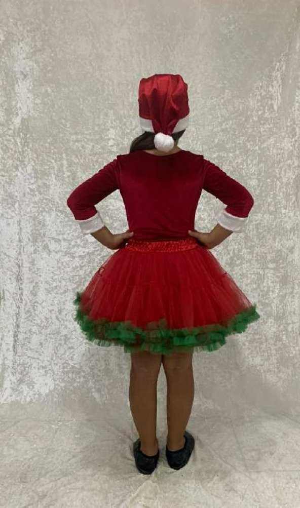ÇAM AĞAÇLI NOEL ANNE KOSTÜMÜ - 3