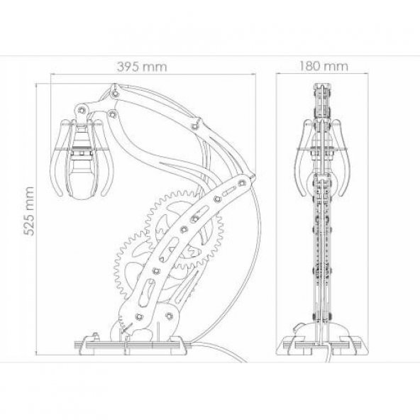 WoodACT Larix Ahşap Hediyelik Ofis Masa Lambası - 4 Renk - 5