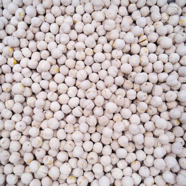 Beyaz Leblebi 1 KG - 8