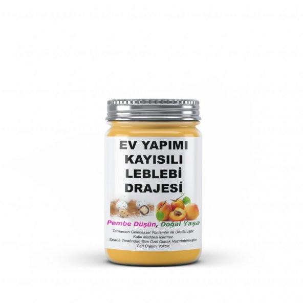 Kayısılı Leblebi Drajesi Ev Yapımı Katkısız 250Gr