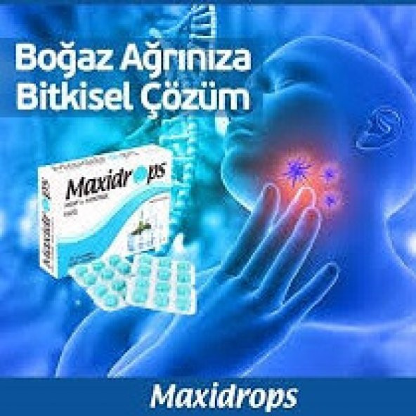 Maxidrops Nane & Mentol Boğaz Pastili - 2