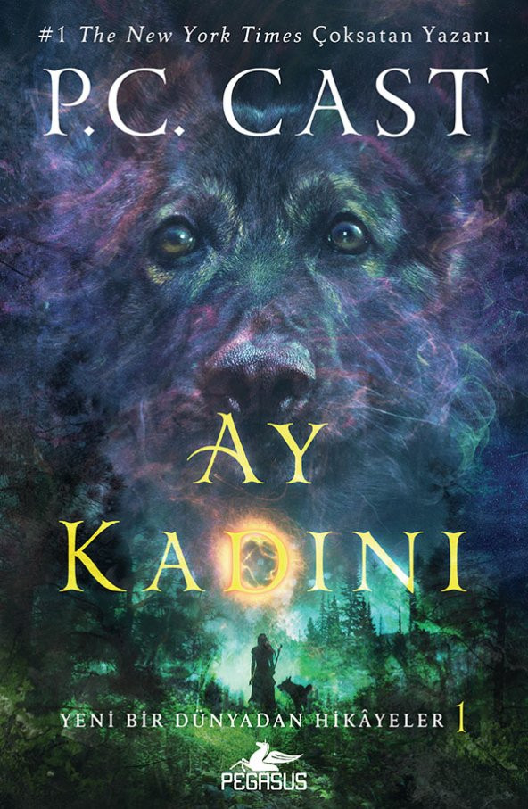 Ay Kadını – Yeni Bir Dünyadan Hikayeler 1