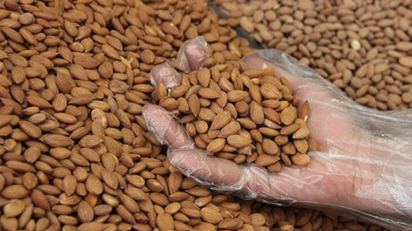 Kayısı Çekirdeği İçi Malatya Tatlı Doğal Taze Organik 1. Kalite 1 Kg - 2